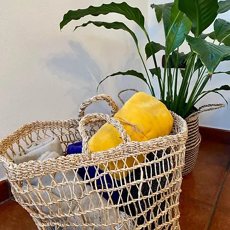 Casa Calandrilla 公寓 *